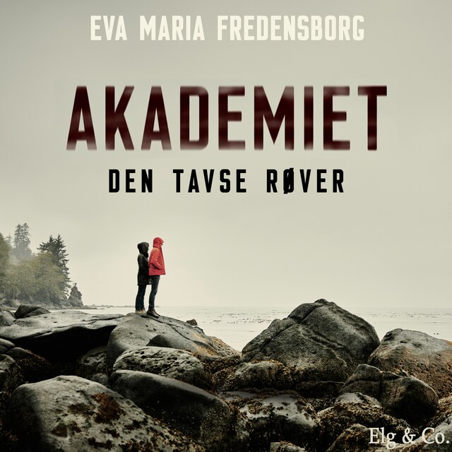 Omslag: Akademiet 1 - Den tavse røver