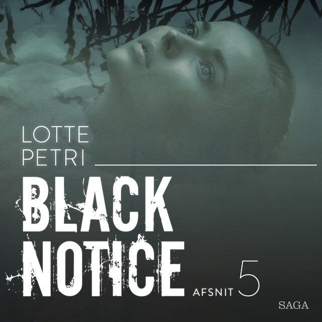 Omslag: Black notice: Afsnit 5