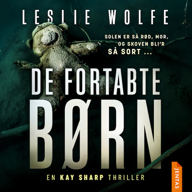 Omslag: De fortabte børn