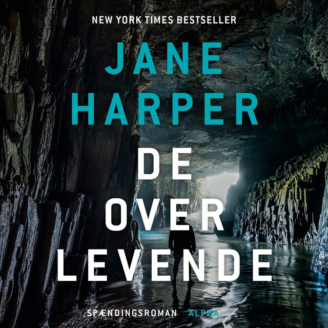 Omslag: De overlevende
