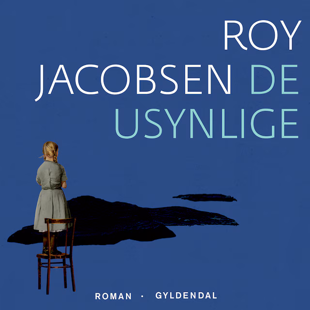 Omslag: De usynlige