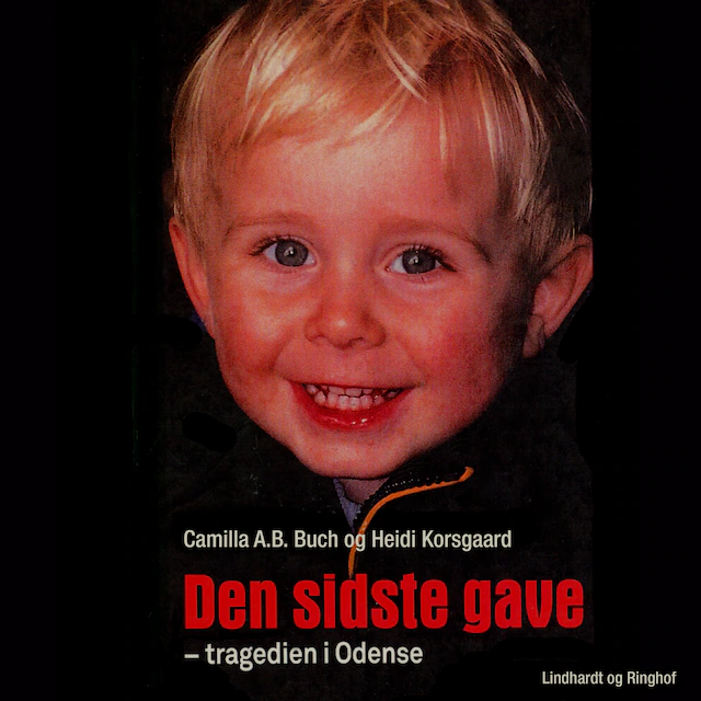 Omslag: Den sidste gave