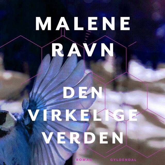 Omslag: Den virkelige verden