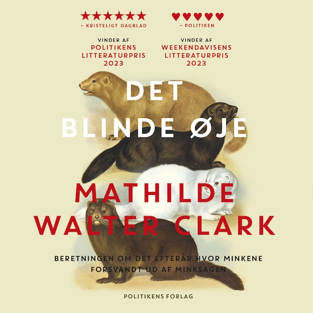 Omslag: Det blinde øje