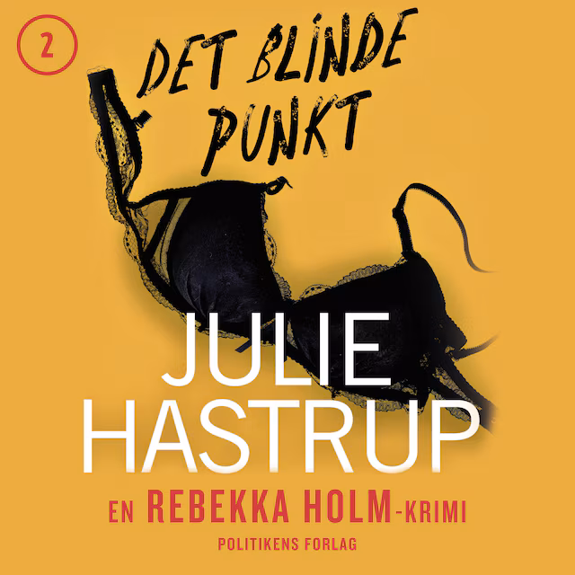 Omslag: Det blinde punkt