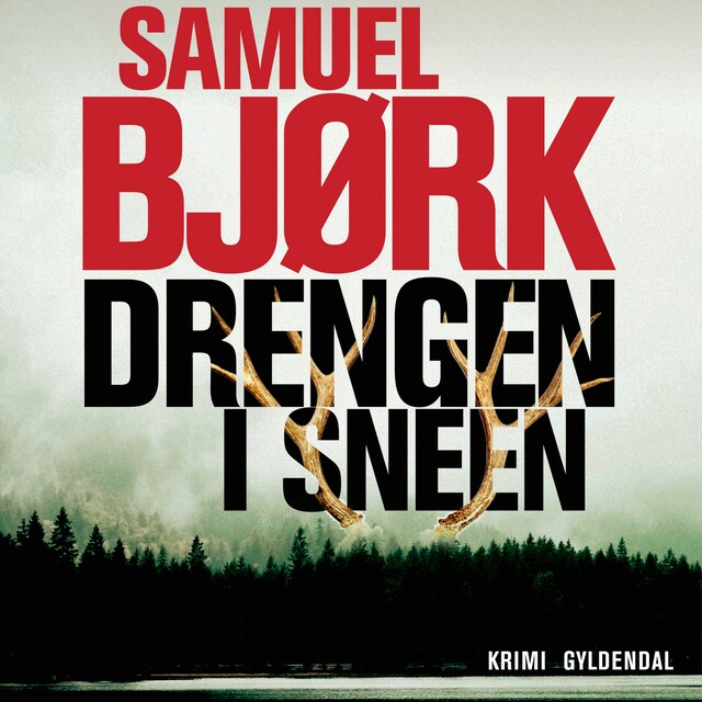 Omslag: Drengen i sneen