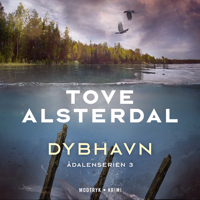 Omslag: Dybhavn