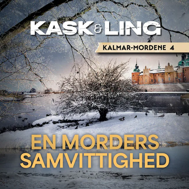 Omslag: En morders samvittighed