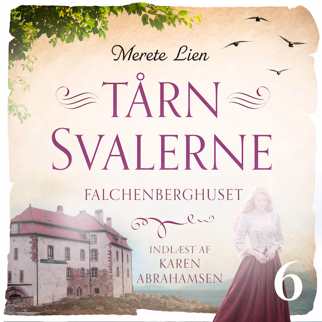 Omslag: Falchenberghuset