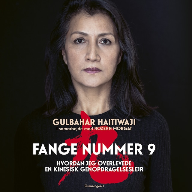 Omslag: Fange nummer 9