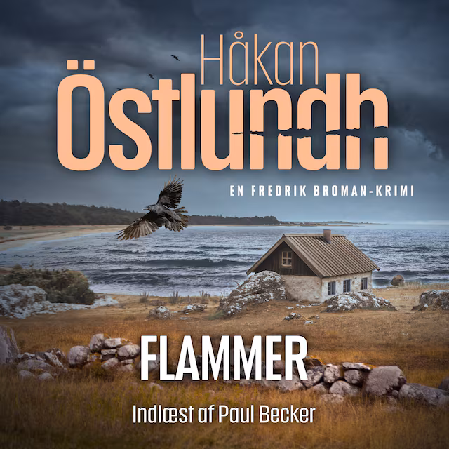 Omslag: Fredrik Broman 3 - Flammer
