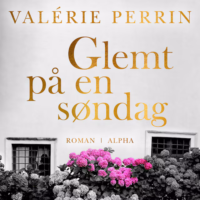 Omslag: Glemt på en søndag