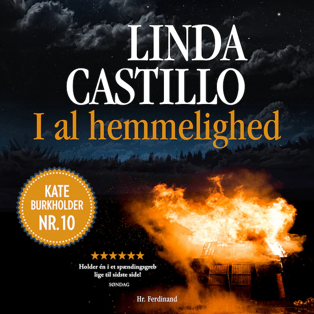 Omslag: I al hemmelighed