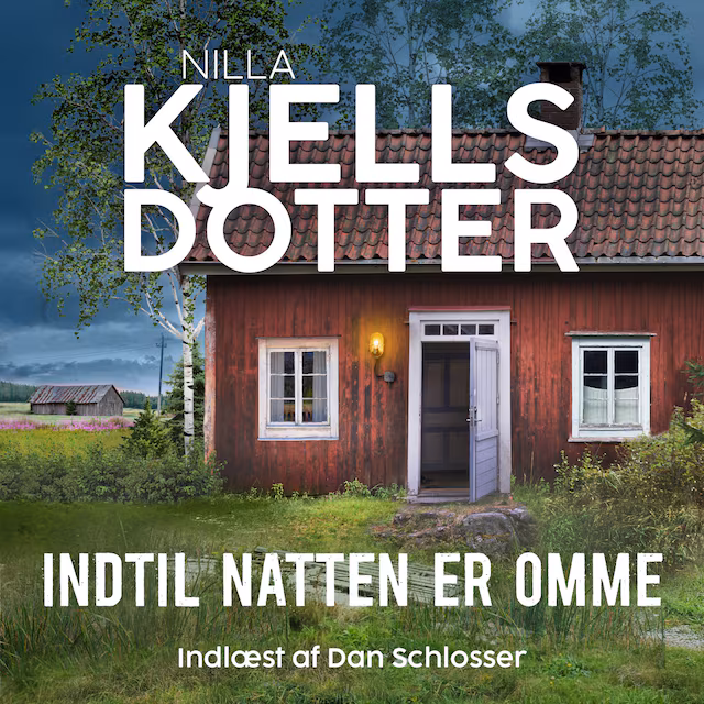 Omslag: Indtil natten er omme