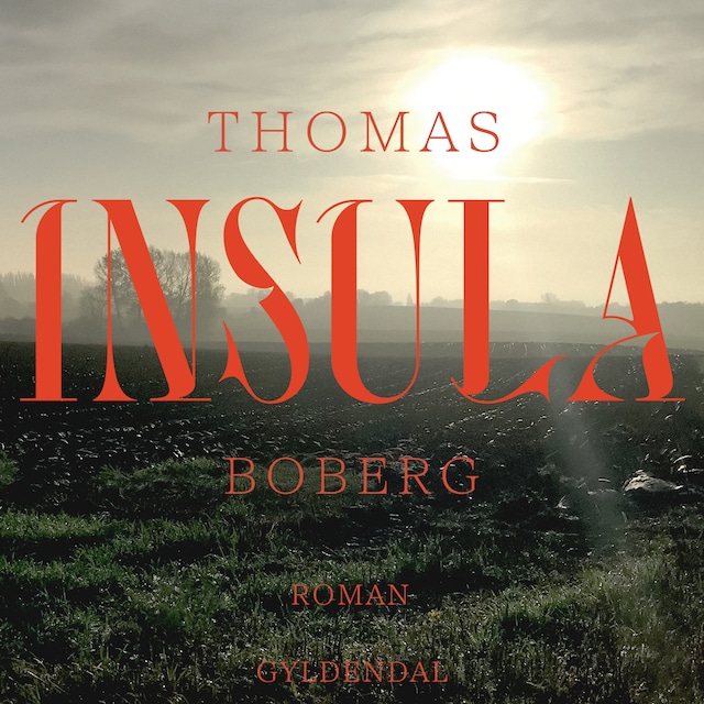 Omslag: Insula