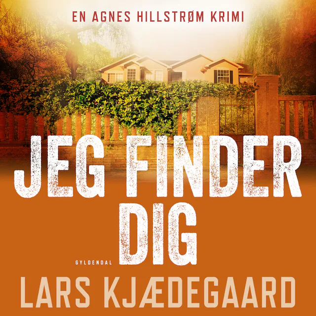 Omslag: Jeg finder dig