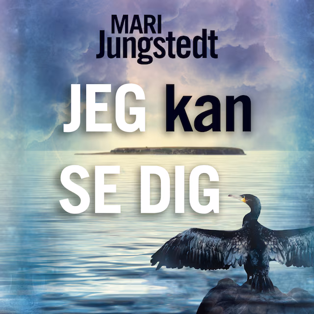Omslag: Jeg kan se dig