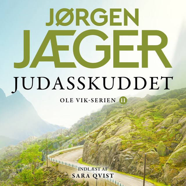 Omslag: Judasskuddet