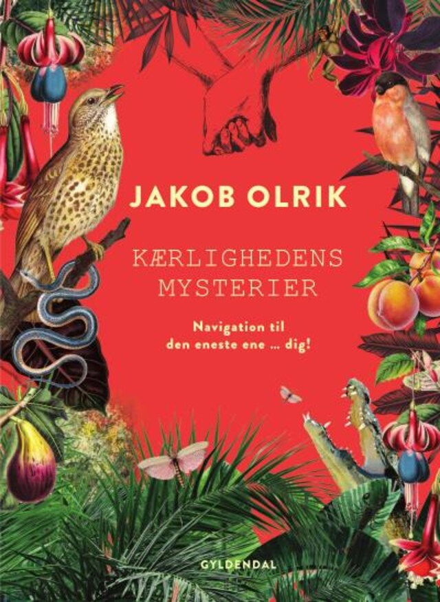 Omslag: Kærlighedens mysterier