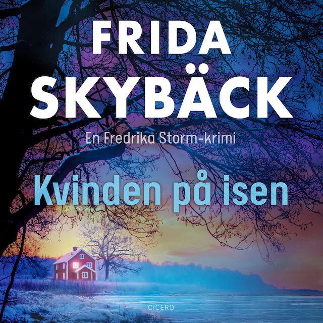 Omslag: Kvinden på isen