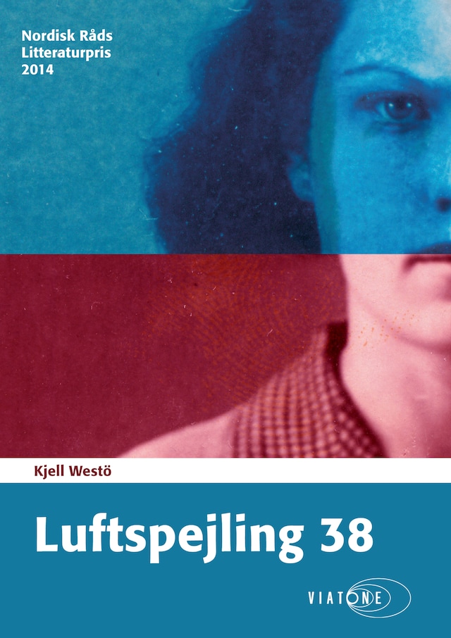 Omslag: Luftspejling 38