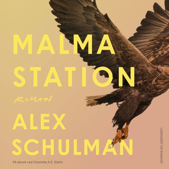 Omslag: Malma station