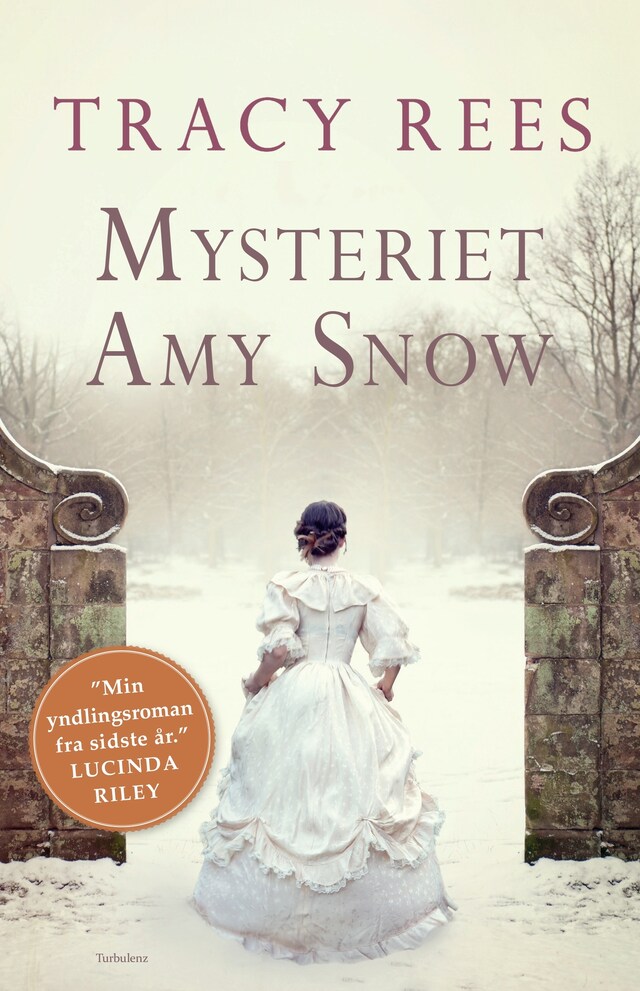 Omslag: Mysteriet Amy Snow