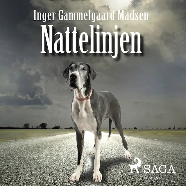 Omslag: Nattelinjen
