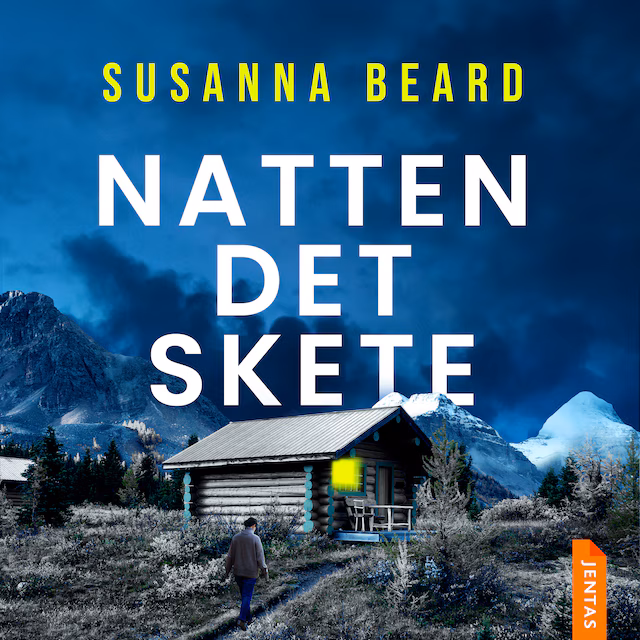 Omslag: Natten det skete