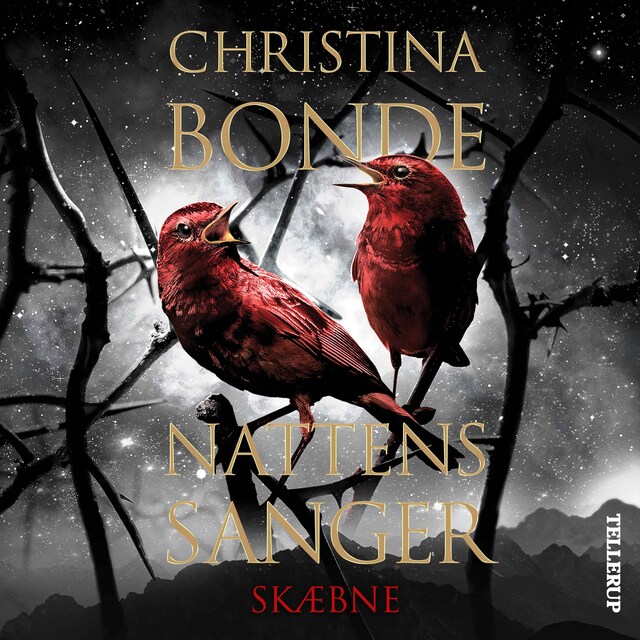 Omslag: Nattens sanger #2: Skæbne