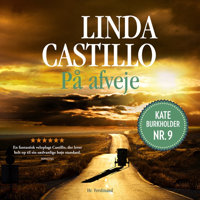 Omslag: På afveje