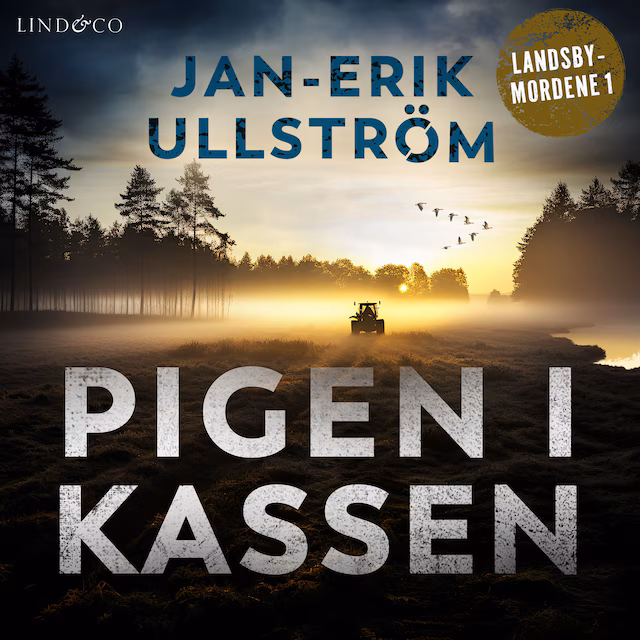 Omslag: Pigen i kassen