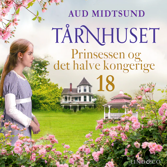 Omslag: Prinsessen og det halve kongerige
