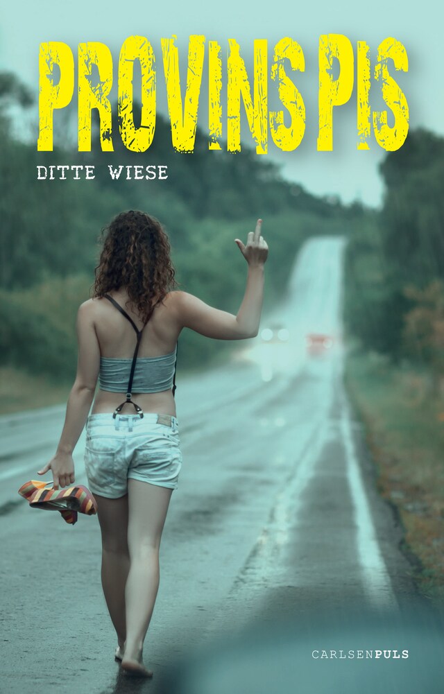 Omslag: Provinspis