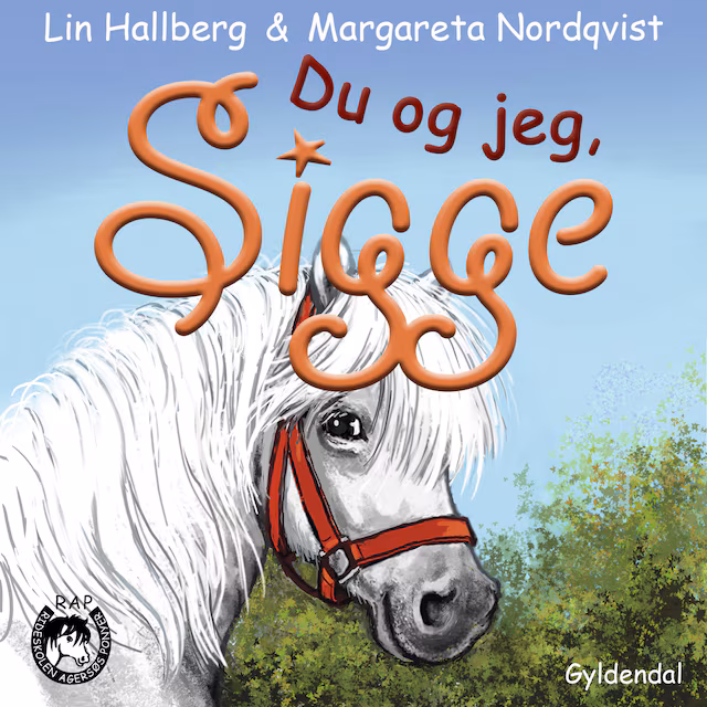 Omslag: RAP-klubben 13 - Du og jeg, Sigge