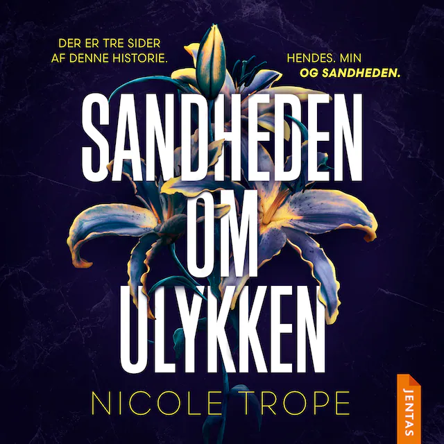 Omslag til lydbogen Sandheden om ulykken