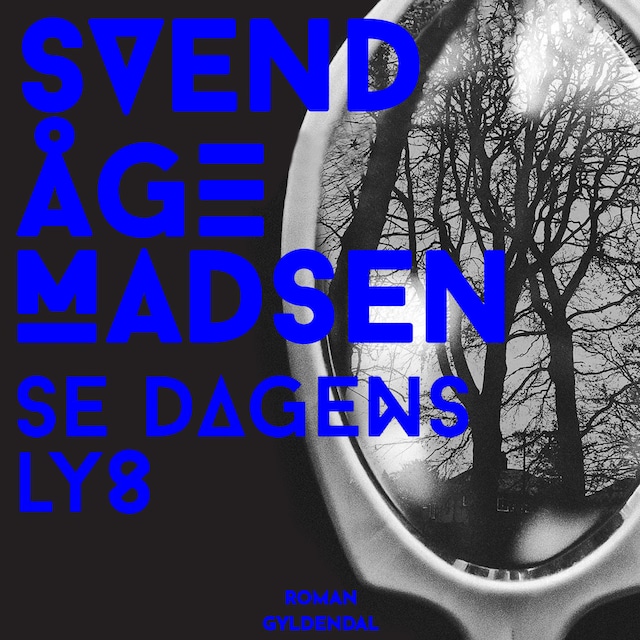 Omslag: Se dagens lys
