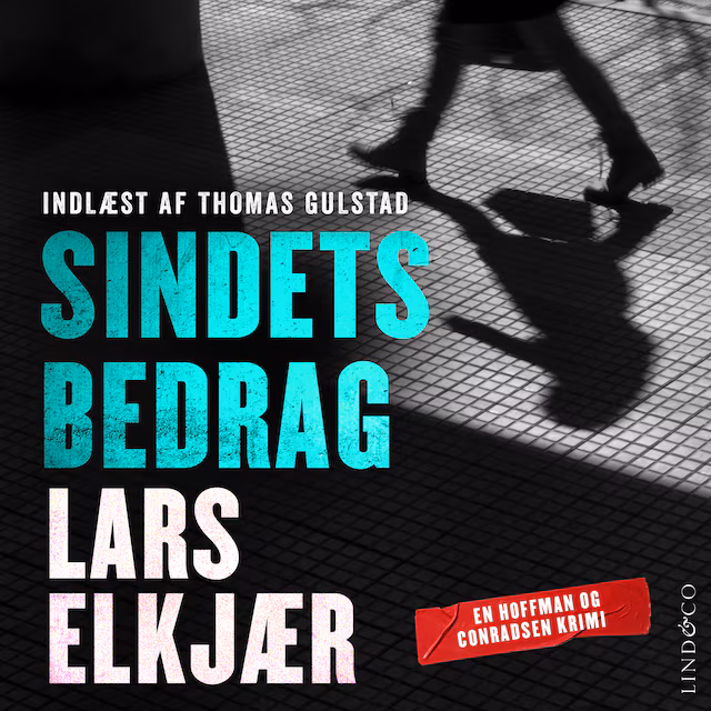 Omslag: Sindets bedrag