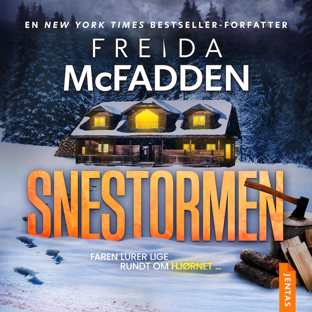 Omslag: Snestormen