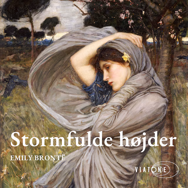 Omslag: Stormfulde højder