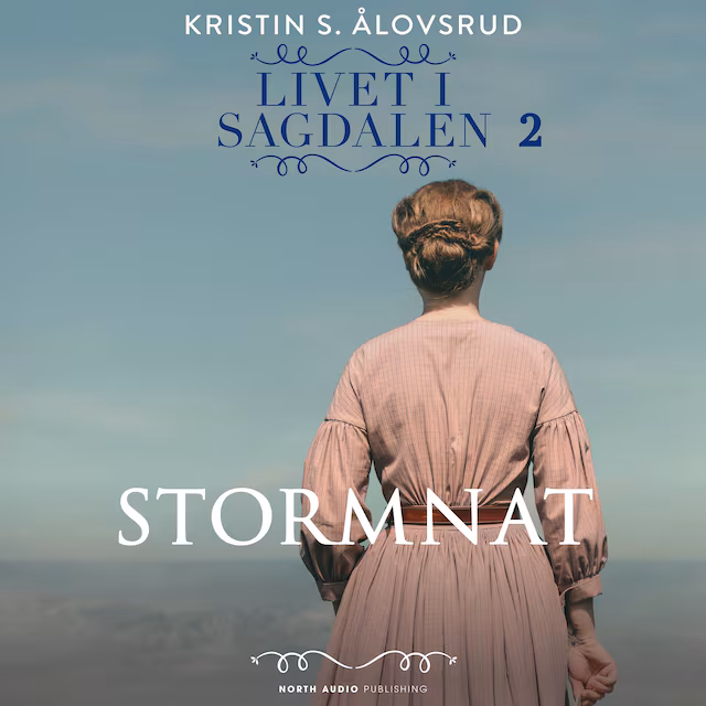 Omslag: Stormnat