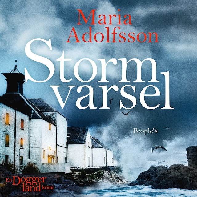 Omslag: Stormvarsel