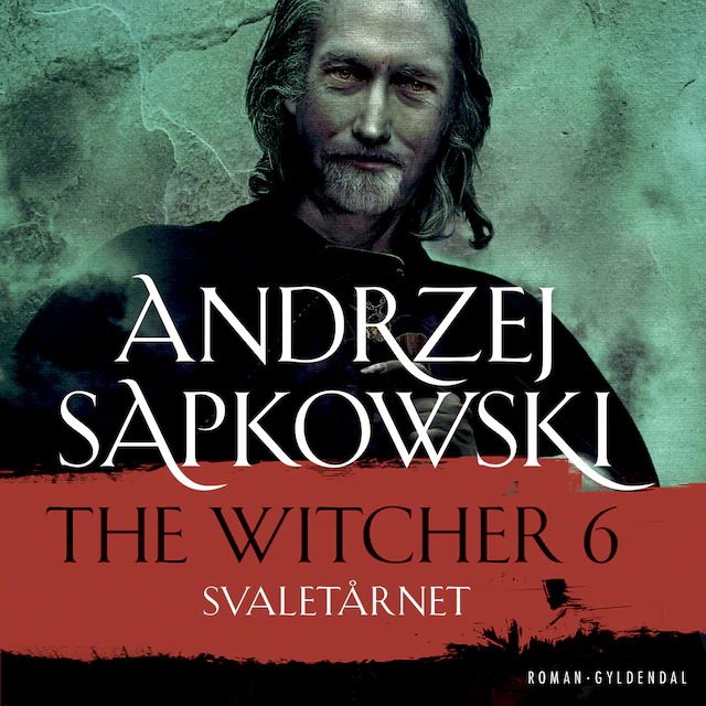 Omslag: THE WITCHER 6
