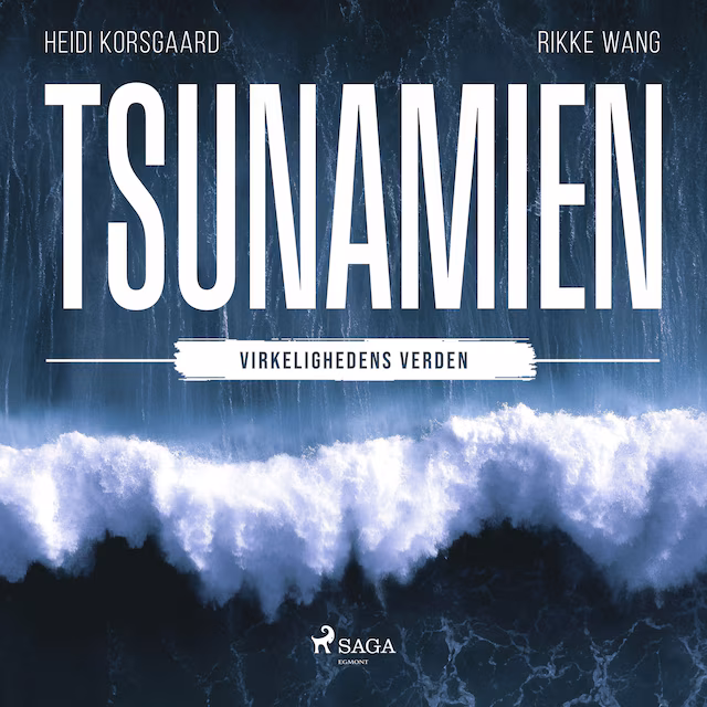 Omslag: Tsunamien
