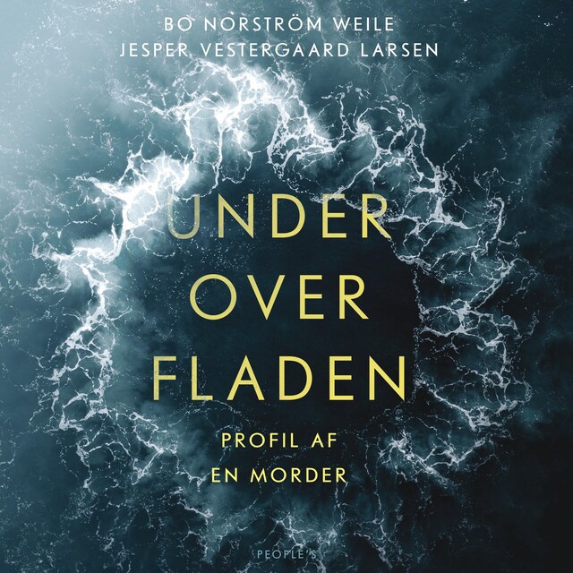 Omslag: Under overfladen