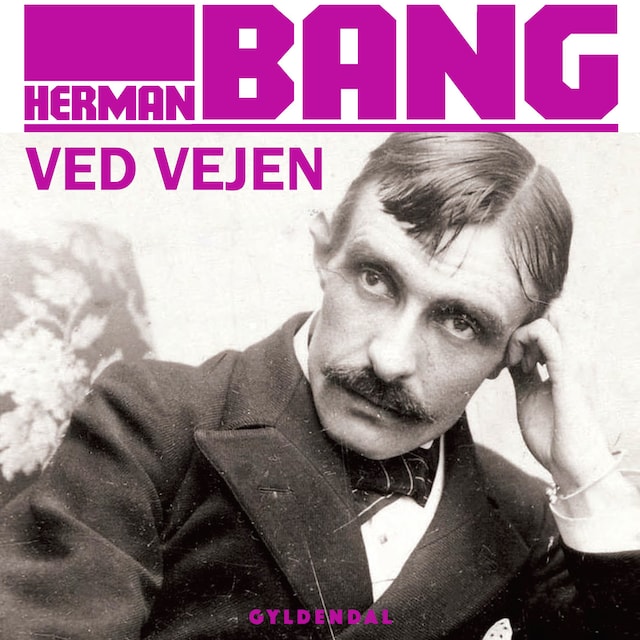 Omslag: Ved vejen