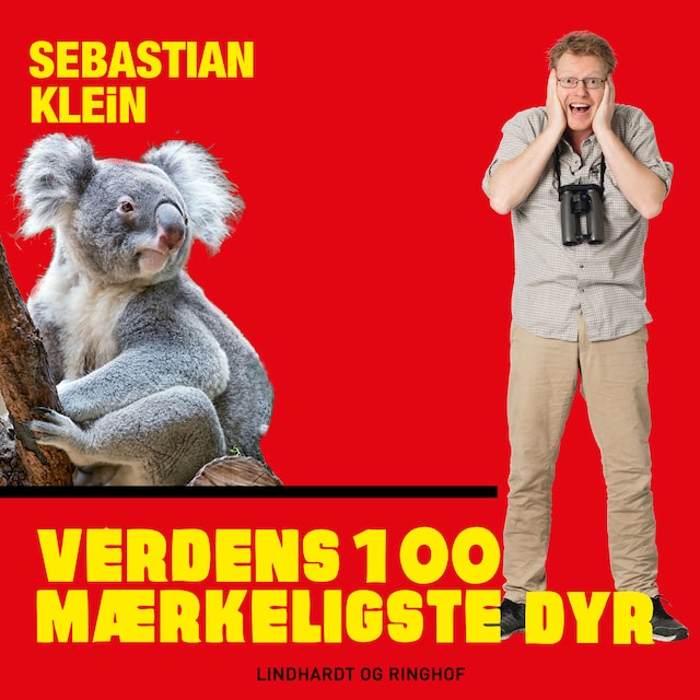 Omslag: Verdens 100 mærkeligste dyr, Koalabjørnen
