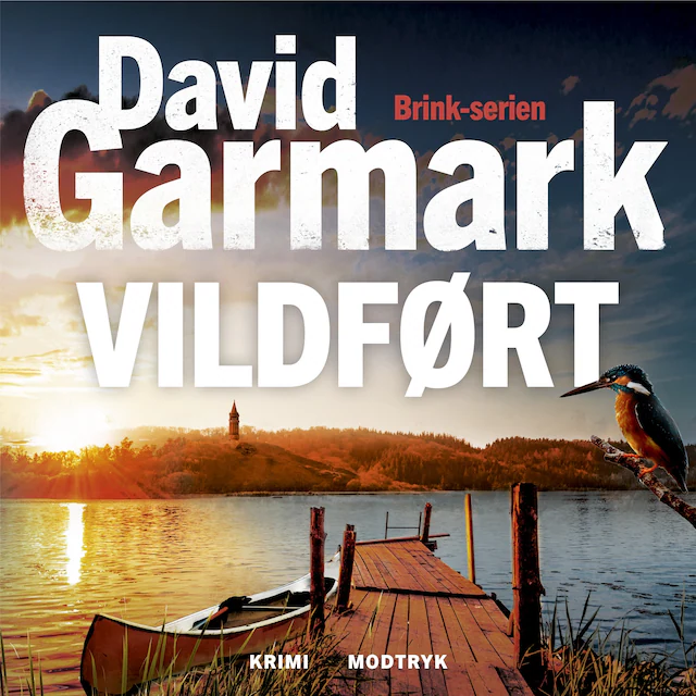Omslag: Vildført