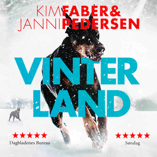 Omslag: Vinterland